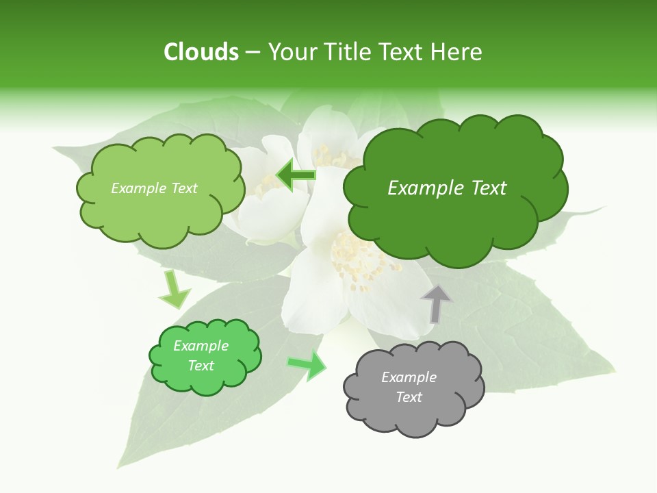Macro Green Background PowerPoint Template