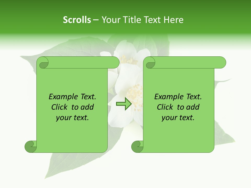 Macro Green Background PowerPoint Template