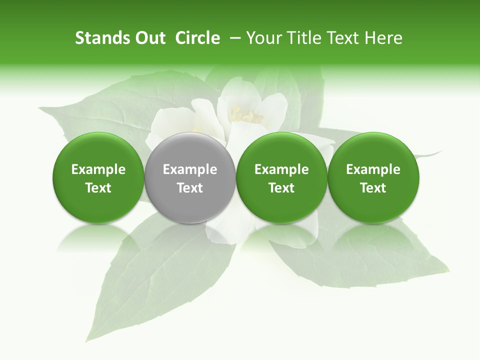 Macro Green Background PowerPoint Template