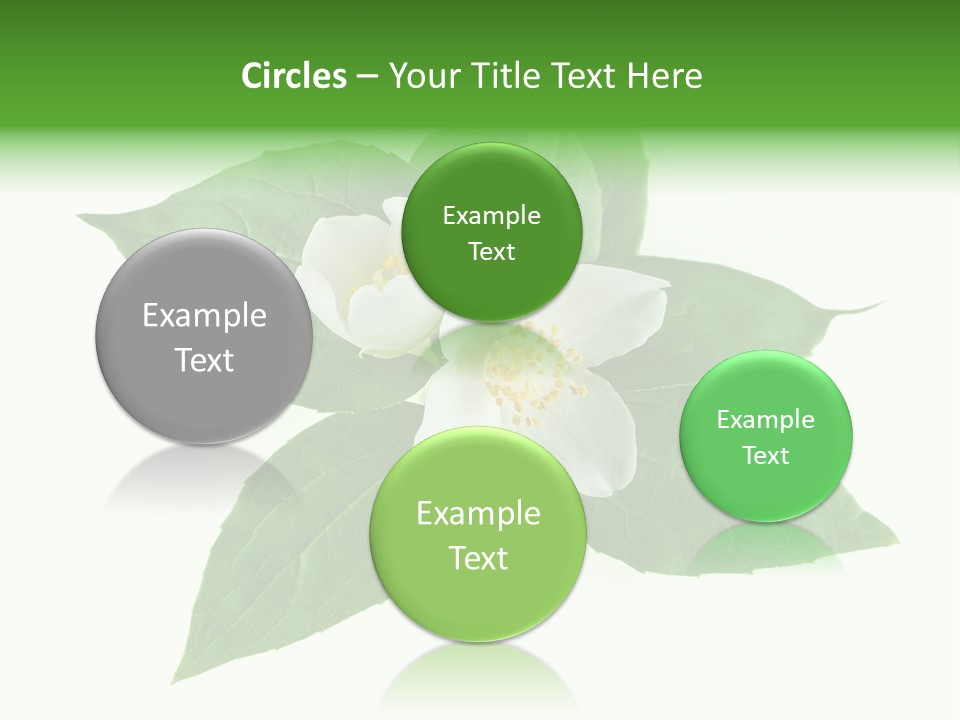 Macro Green Background PowerPoint Template