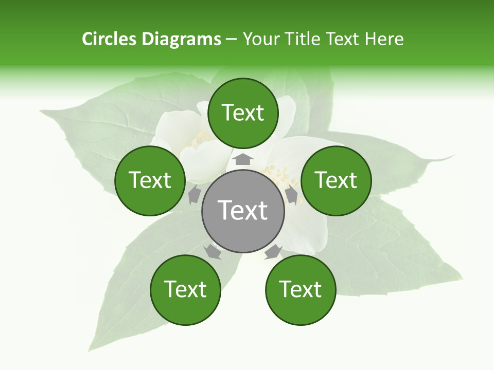 Macro Green Background PowerPoint Template