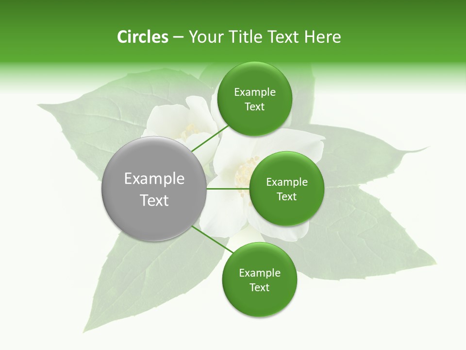 Macro Green Background PowerPoint Template