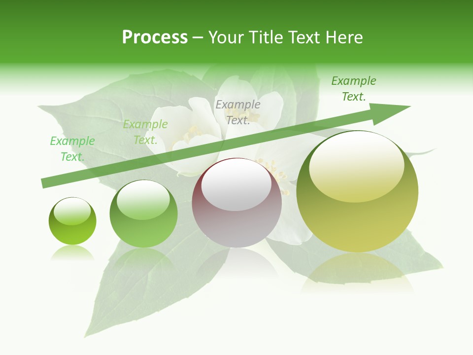 Macro Green Background PowerPoint Template