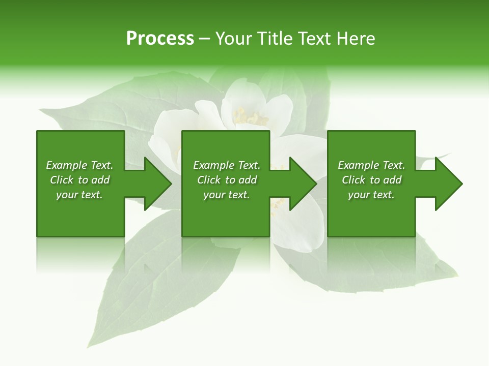 Macro Green Background PowerPoint Template