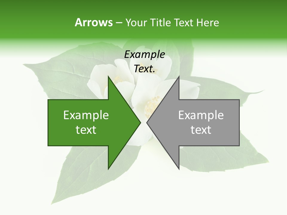 Macro Green Background PowerPoint Template