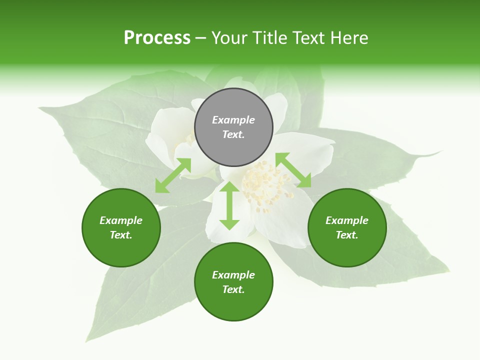 Macro Green Background PowerPoint Template
