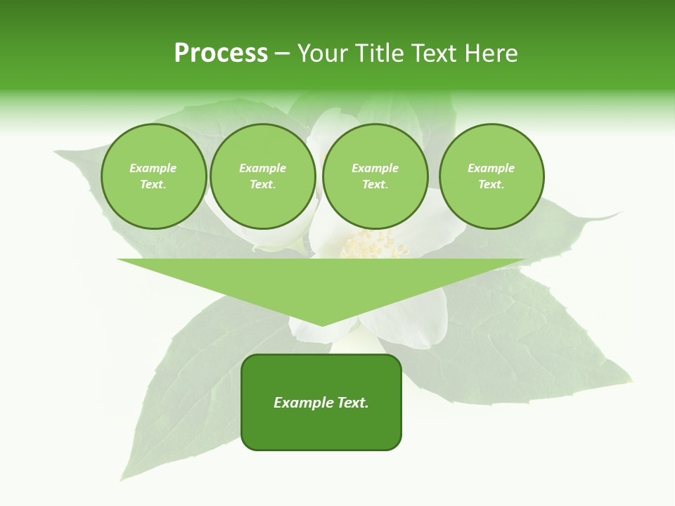 Macro Green Background PowerPoint Template