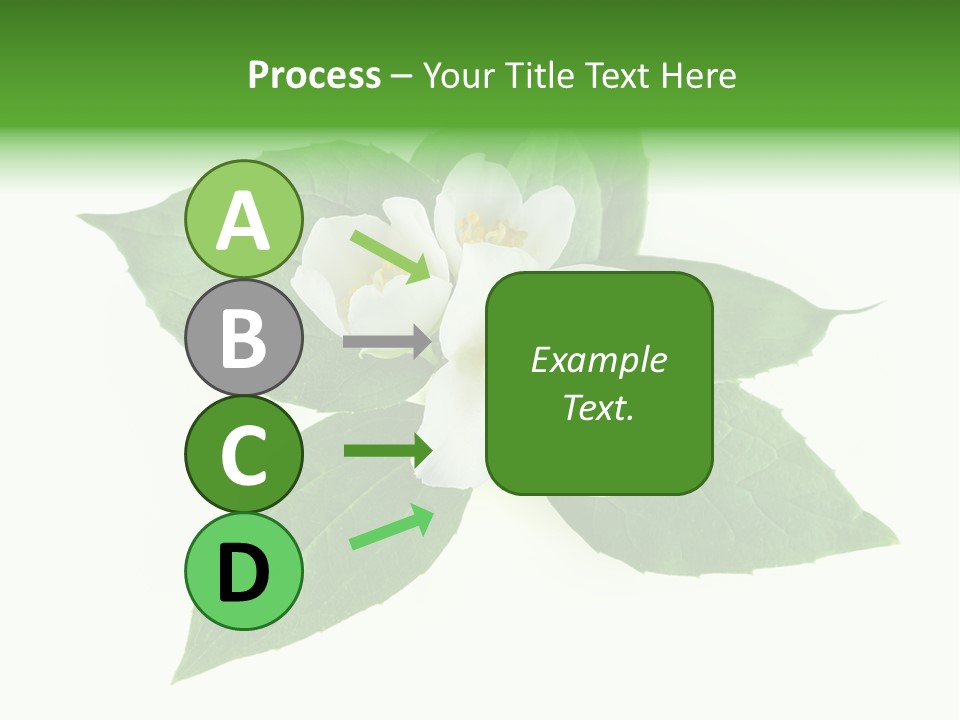 Macro Green Background PowerPoint Template