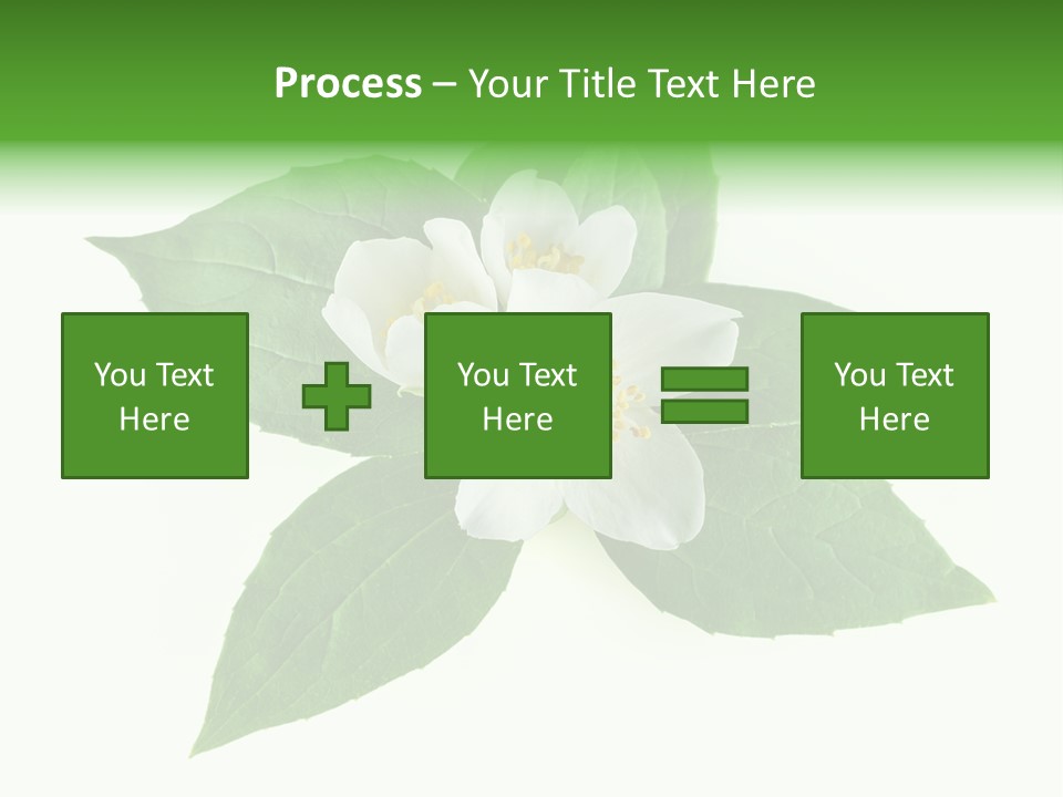 Macro Green Background PowerPoint Template