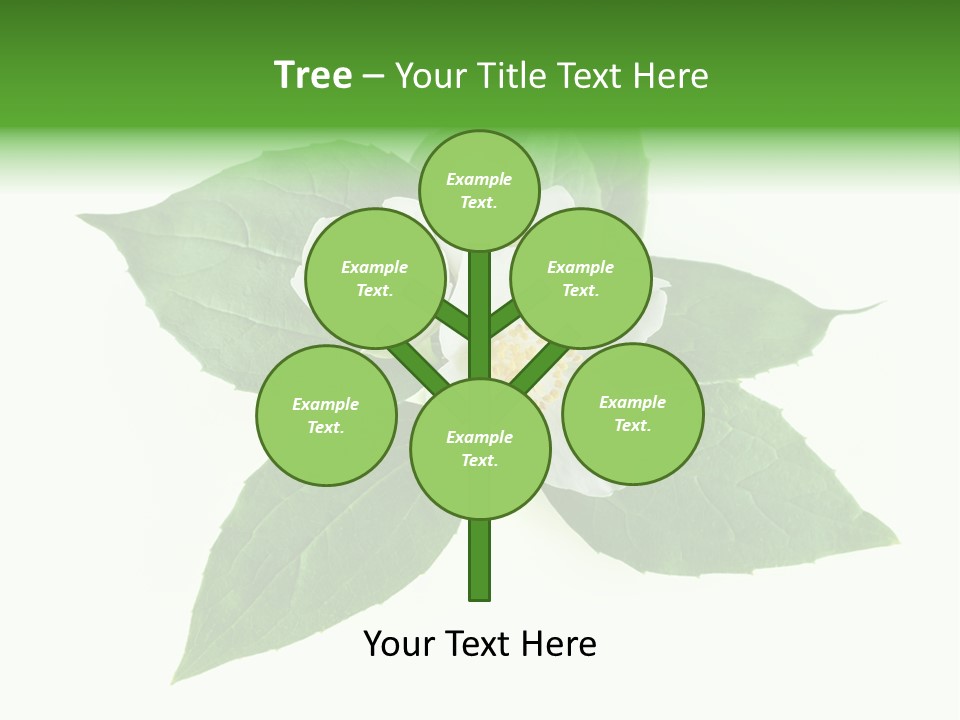 Macro Green Background PowerPoint Template