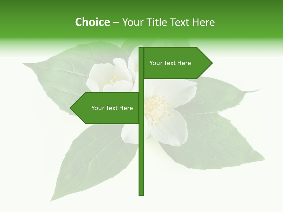 Macro Green Background PowerPoint Template