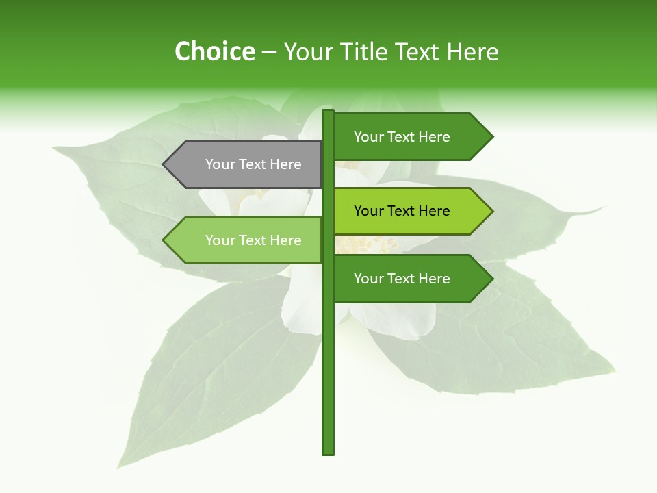 Macro Green Background PowerPoint Template