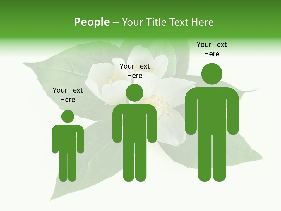 Macro Green Background PowerPoint Template