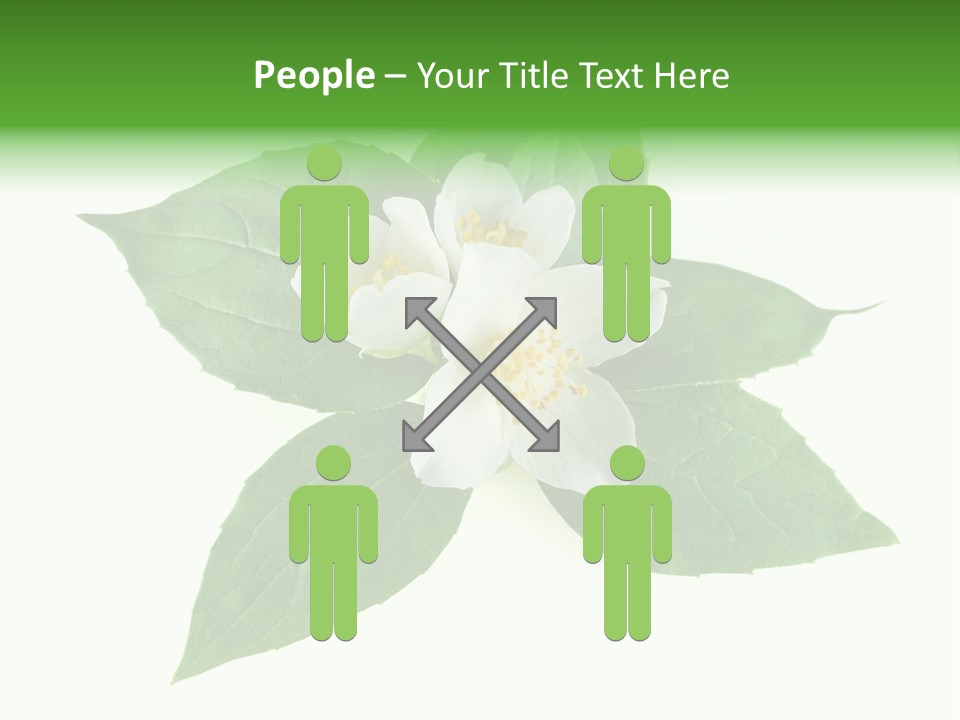 Macro Green Background PowerPoint Template