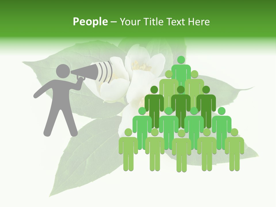 Macro Green Background PowerPoint Template