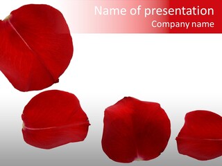 Romantic Delicacy Floral PowerPoint Template