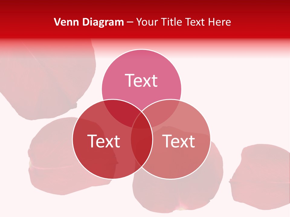 Romantic Delicacy Floral PowerPoint Template
