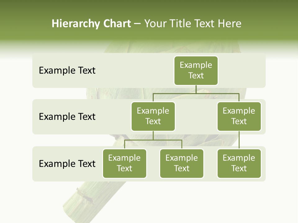 White Eat Fresh PowerPoint Template