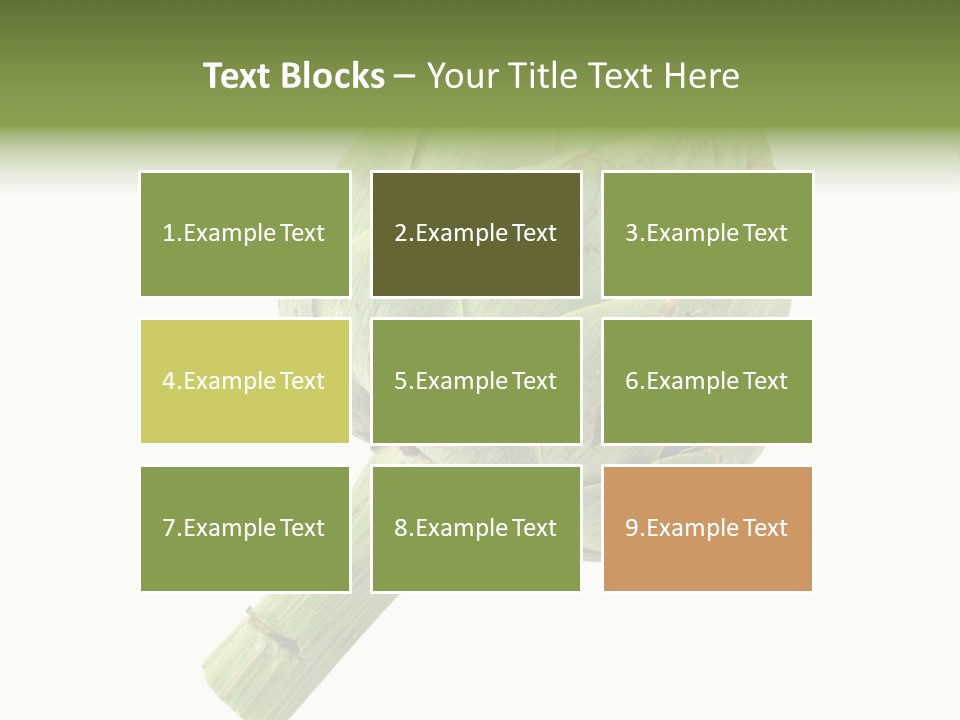 White Eat Fresh PowerPoint Template