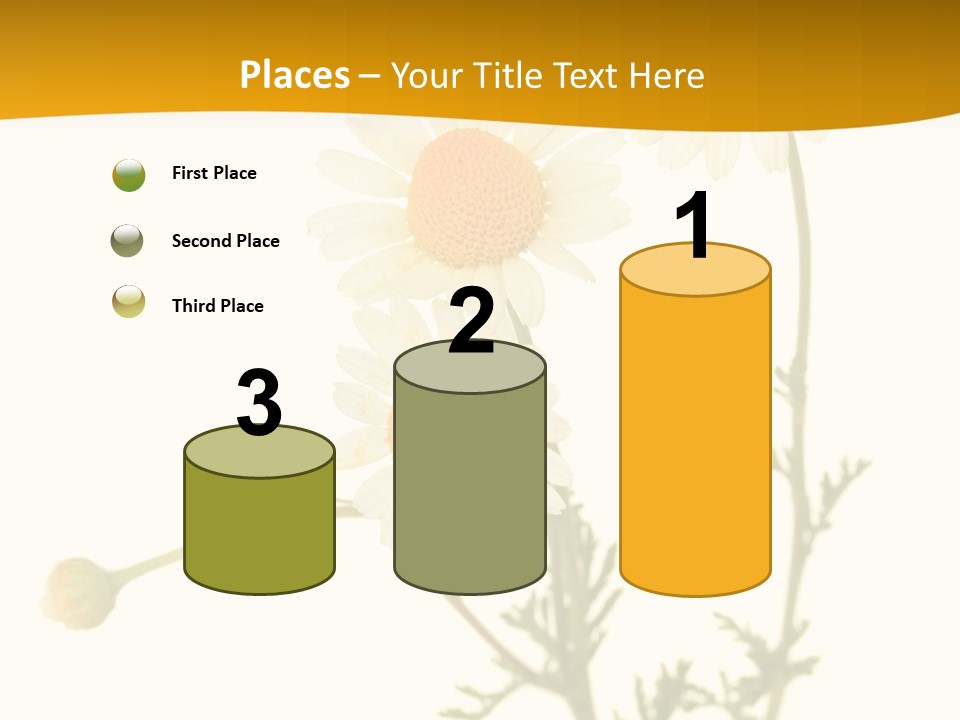 Herb Chamomile Green PowerPoint Template