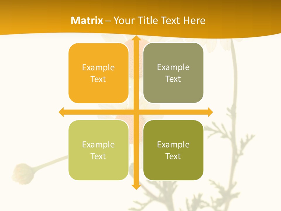 Herb Chamomile Green PowerPoint Template