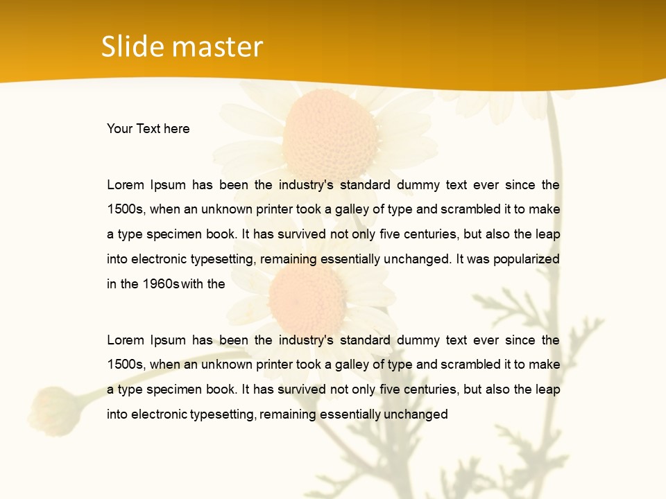 Herb Chamomile Green PowerPoint Template