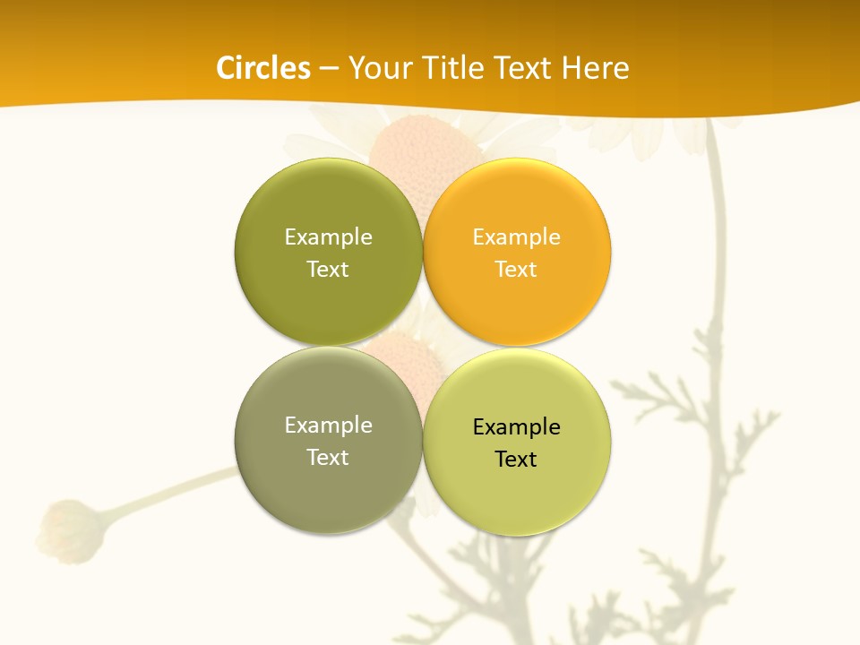 Herb Chamomile Green PowerPoint Template