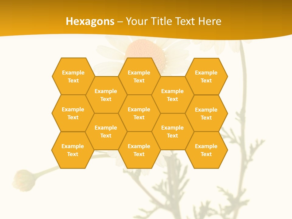 Herb Chamomile Green PowerPoint Template