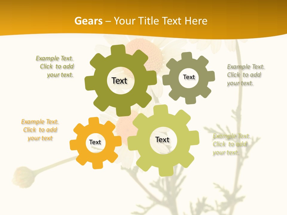 Herb Chamomile Green PowerPoint Template