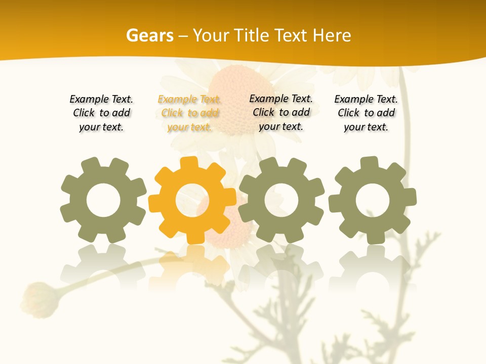 Herb Chamomile Green PowerPoint Template