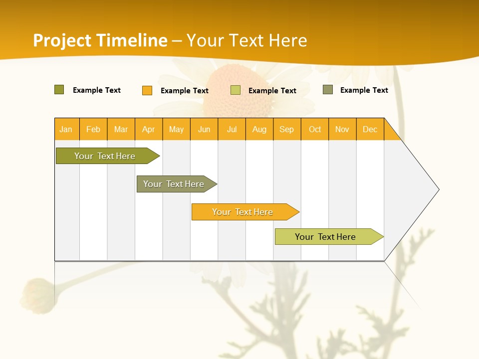 Herb Chamomile Green PowerPoint Template