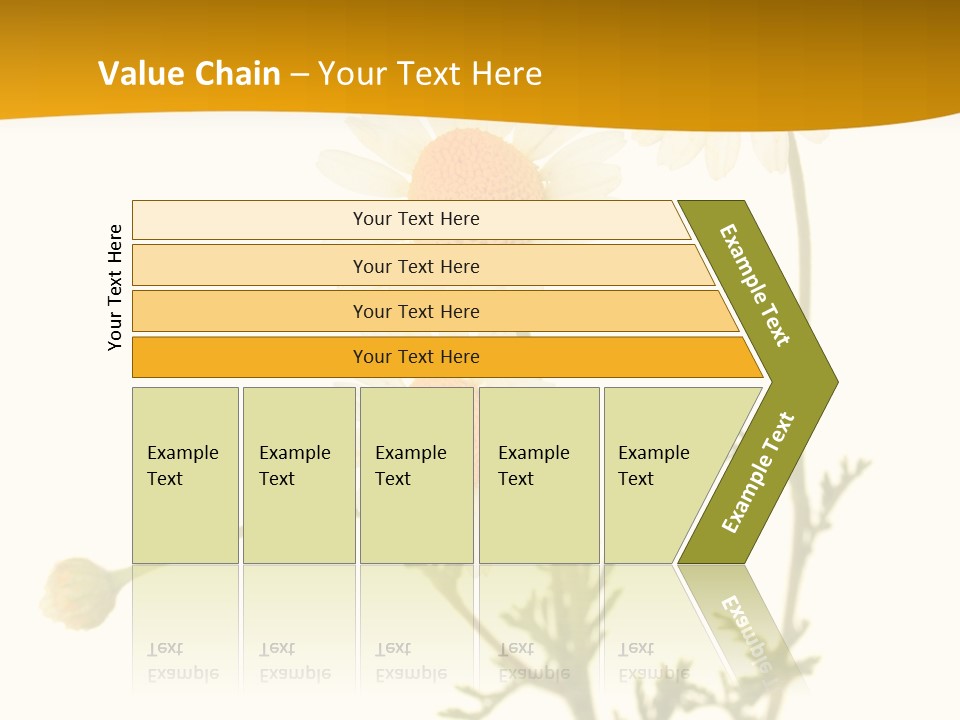 Herb Chamomile Green PowerPoint Template