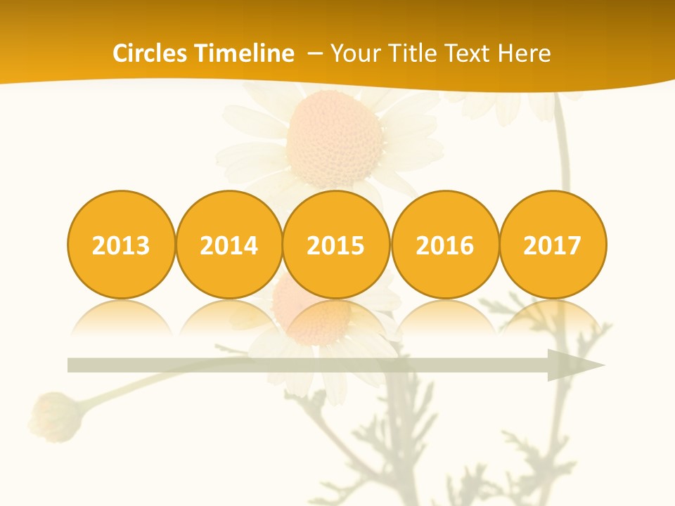 Herb Chamomile Green PowerPoint Template