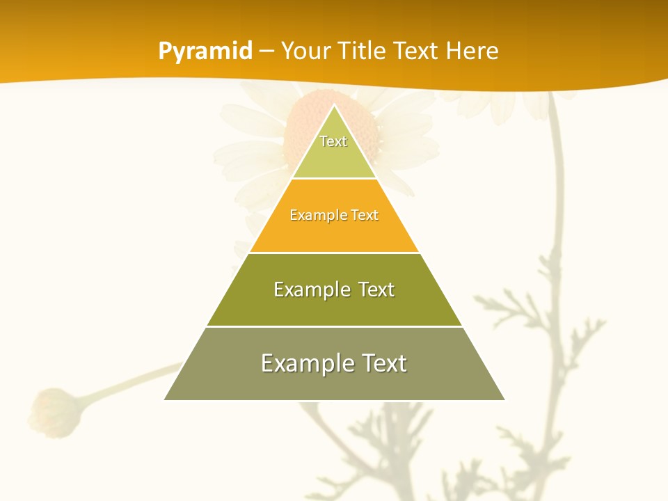 Herb Chamomile Green PowerPoint Template