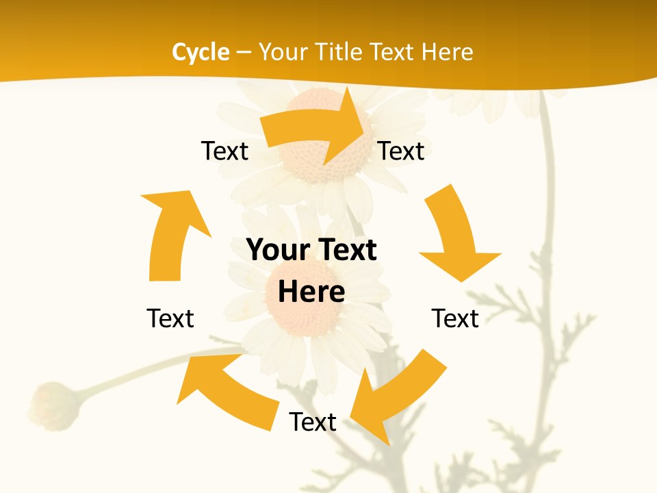 Herb Chamomile Green PowerPoint Template