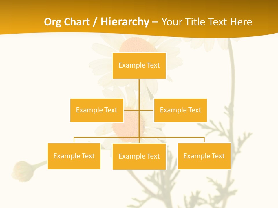 Herb Chamomile Green PowerPoint Template