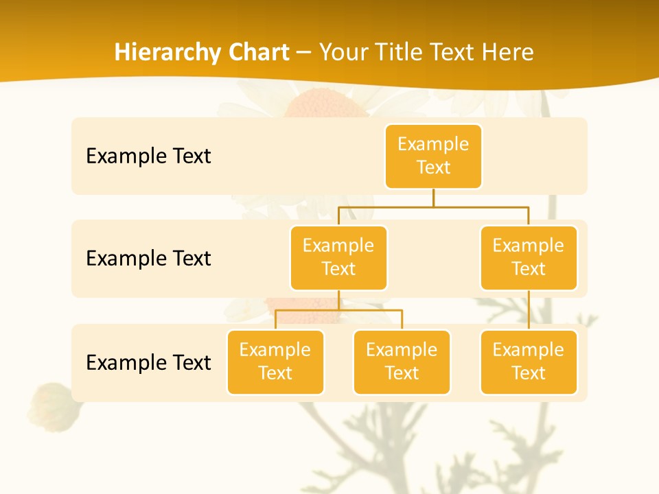 Herb Chamomile Green PowerPoint Template