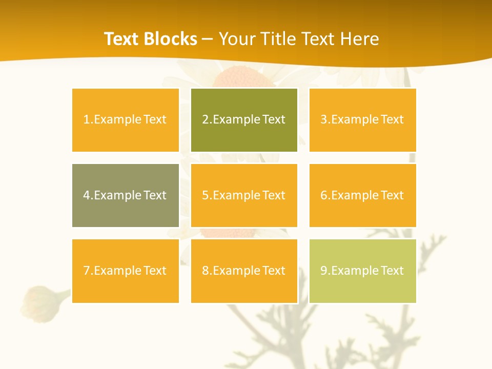 Herb Chamomile Green PowerPoint Template