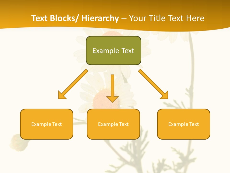 Herb Chamomile Green PowerPoint Template