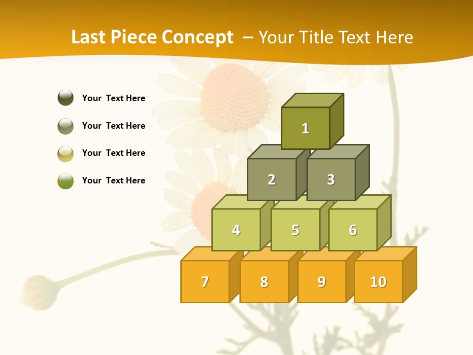 Herb Chamomile Green PowerPoint Template