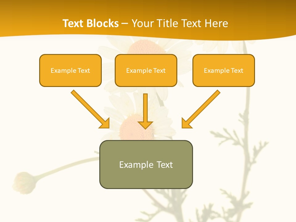 Herb Chamomile Green PowerPoint Template