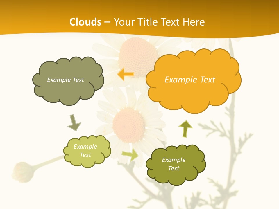 Herb Chamomile Green PowerPoint Template