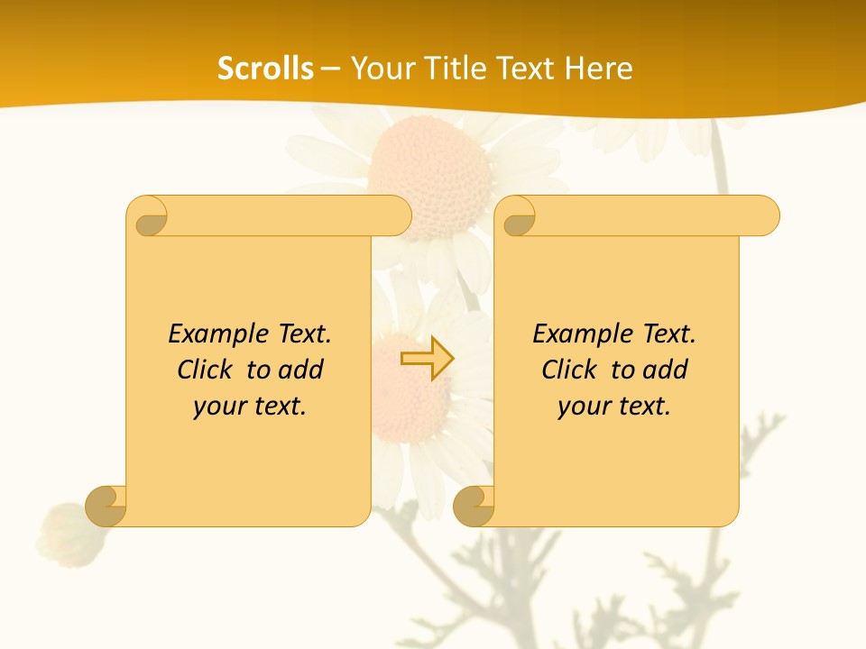 Herb Chamomile Green PowerPoint Template