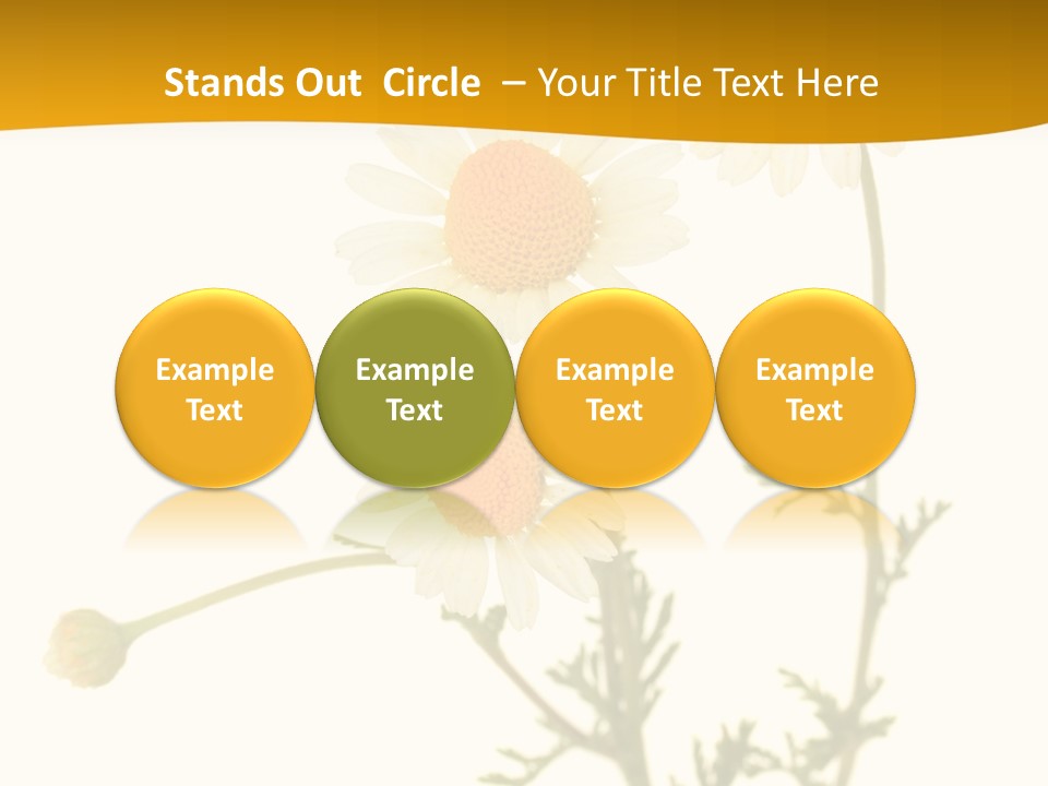 Herb Chamomile Green PowerPoint Template