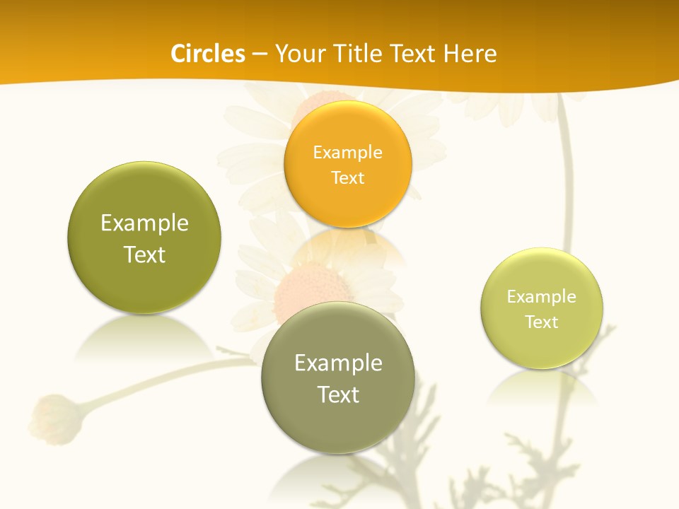 Herb Chamomile Green PowerPoint Template
