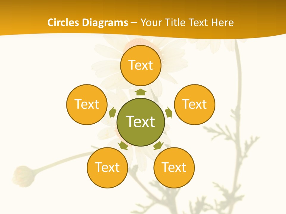 Herb Chamomile Green PowerPoint Template