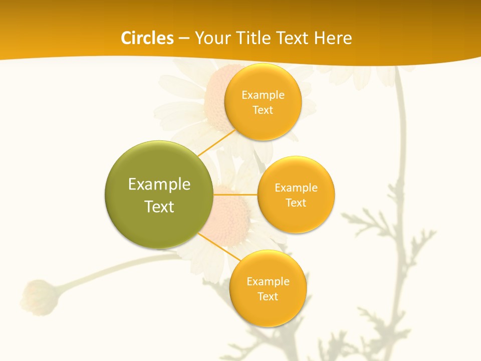 Herb Chamomile Green PowerPoint Template