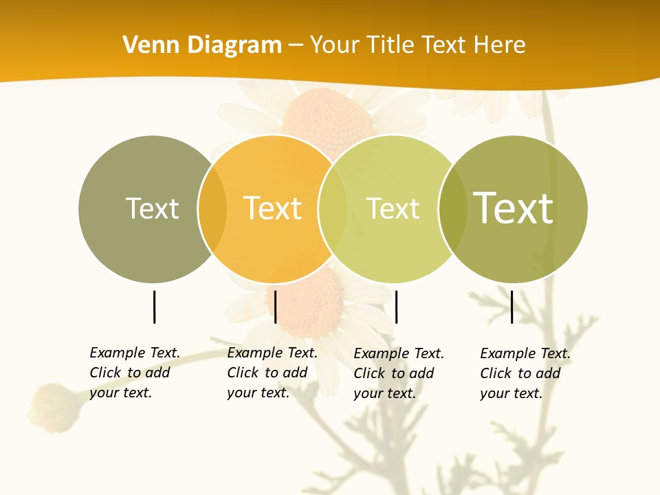 Herb Chamomile Green PowerPoint Template