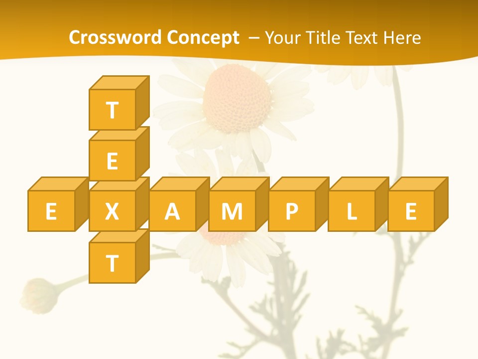 Herb Chamomile Green PowerPoint Template