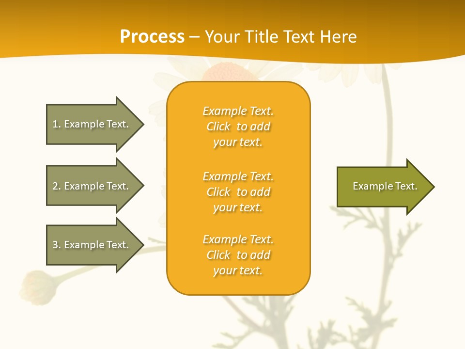 Herb Chamomile Green PowerPoint Template